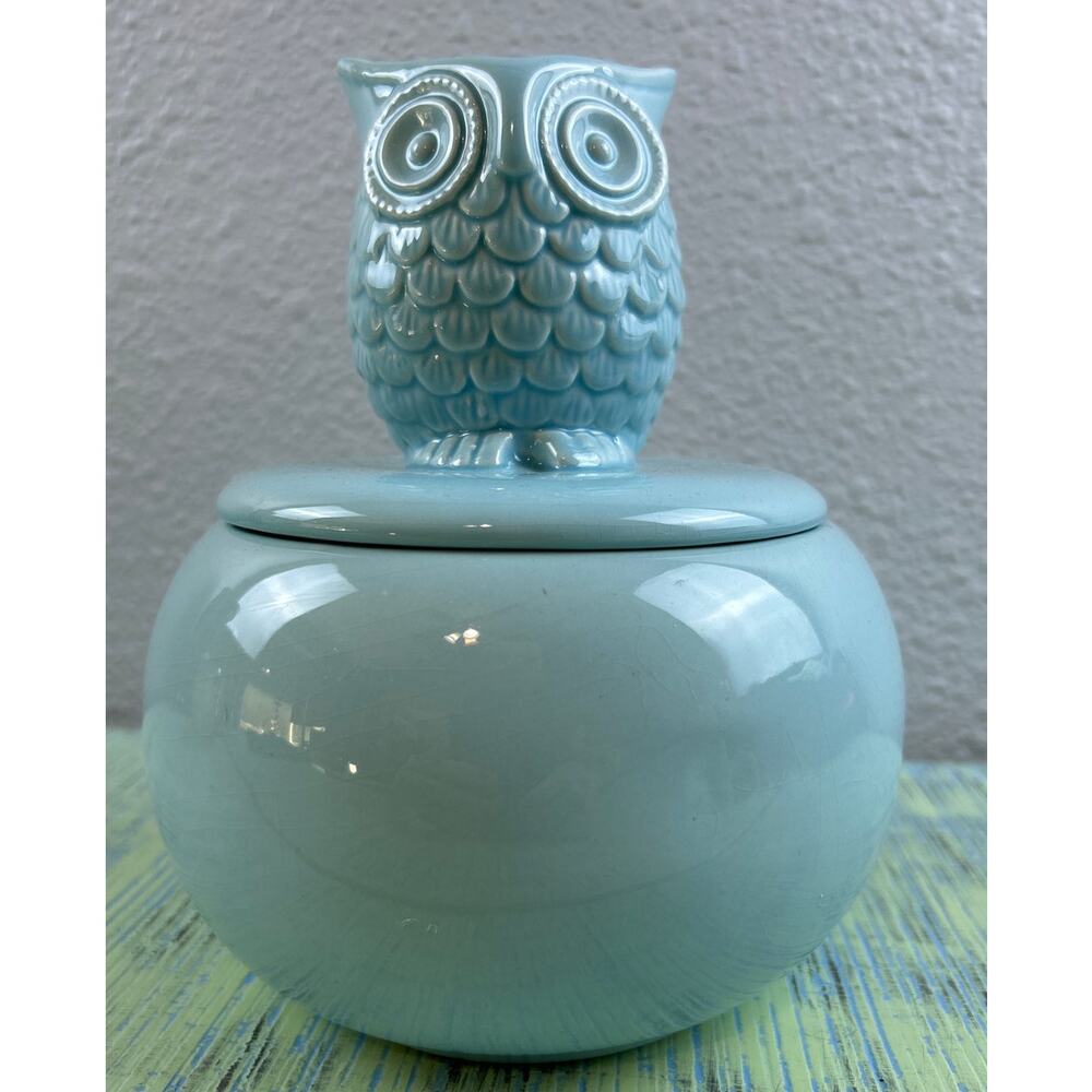 World Market Blue Ceramic Owl Cookie Jar Canister Pet Treats Storage
